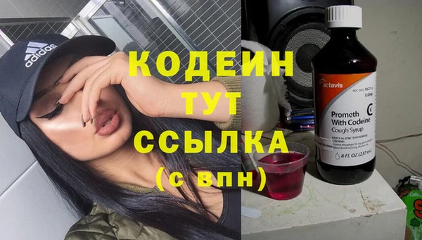 бошки Белокуриха