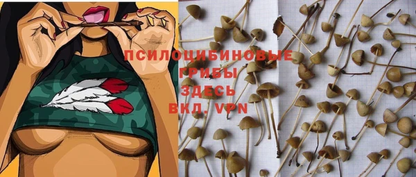 прущая мука Беломорск