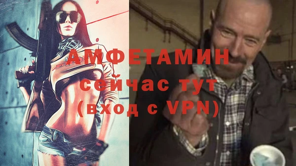 бошки Белокуриха