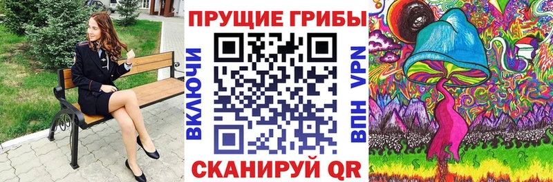 Купить  Дятьково  Псилоцибиновые грибы мицелий 