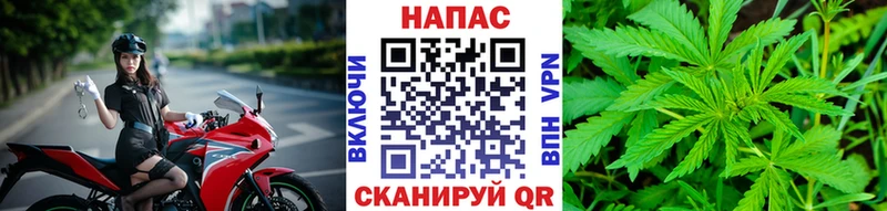 Бошки Шишки план Дятьково